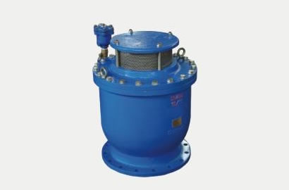 CARX復(fù)合式排氣閥